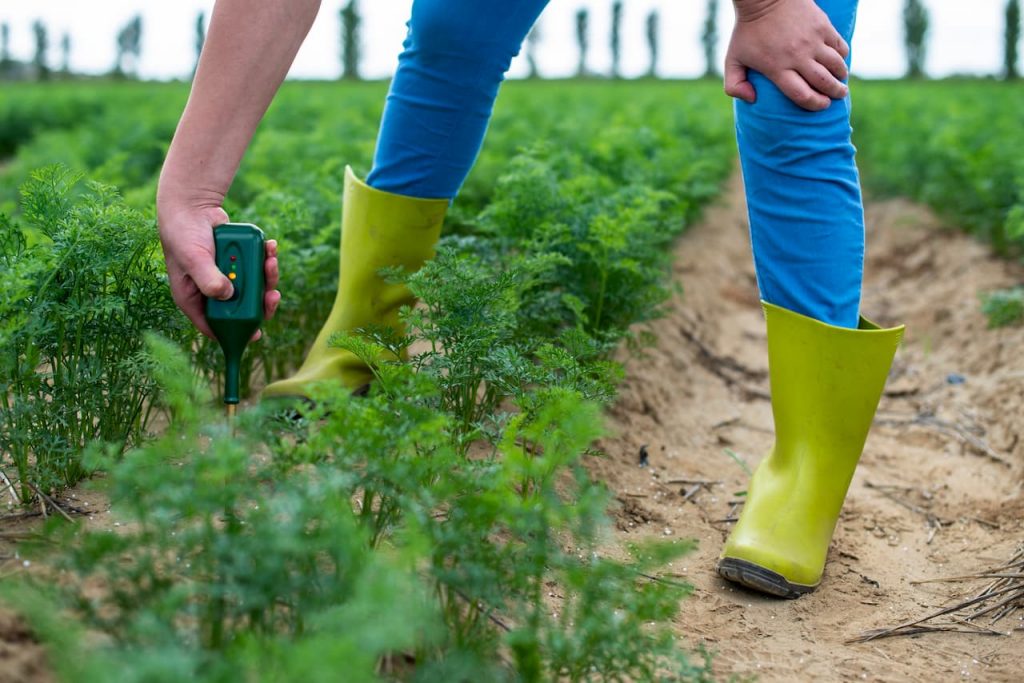 Agricultura De Precisão Tecnologia Sustentabilidade E A Revolução Da