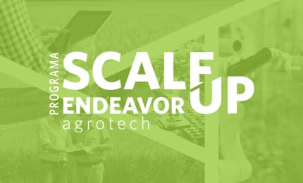 cards programas sup 2019 sup agro Scale-up Endeavor