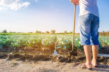 Naïo Technologies Agri Robôs