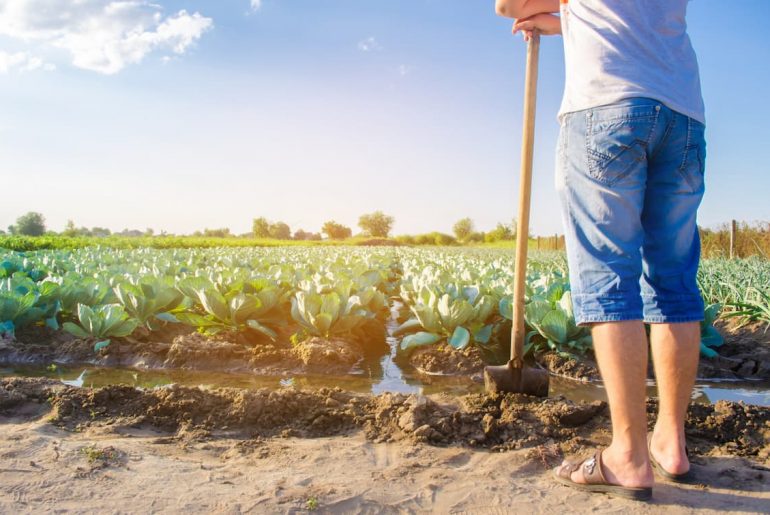 Naïo Technologies Agri Robôs