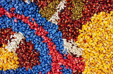 Sementes coloridas